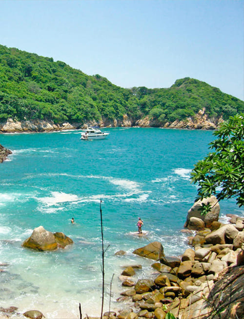 We Hotel Acapulco, Puntos de intres
